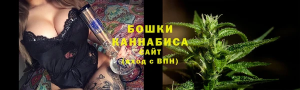 прущая мука Корсаков