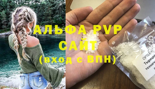прущая мука Корсаков