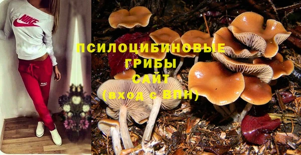 ALPHA PVP Костерёво