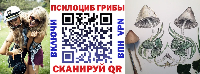 Купить закладки  Дивногорск  Псилоцибиновые грибы мухоморы 